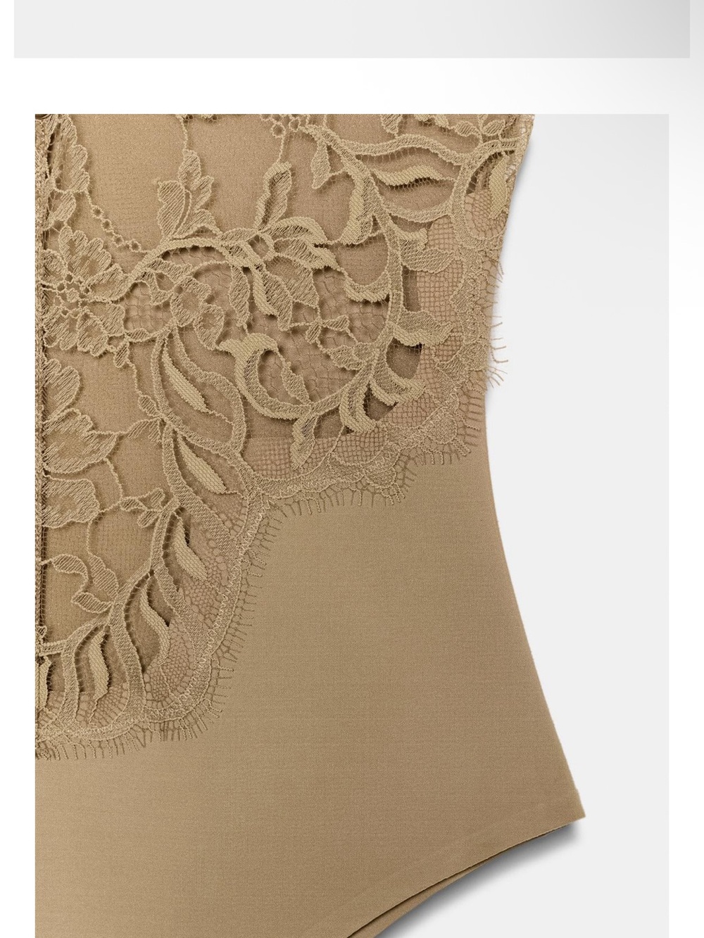 Zara Olive Lace-Panel Bodysuit - Picture 6 of 6